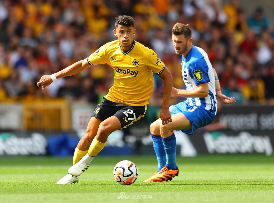 技术在裁判 技术在裁判